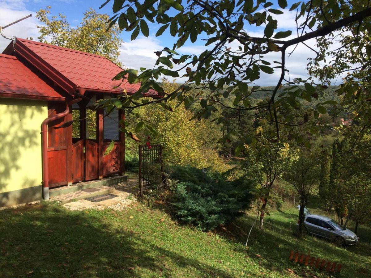 Holiday Home Nanin Konak 2 Vrdnik Exteriér fotografie