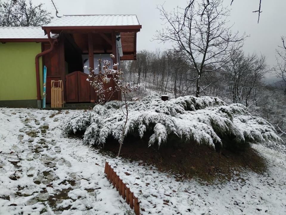 Holiday Home Nanin Konak 2 Vrdnik Exteriér fotografie