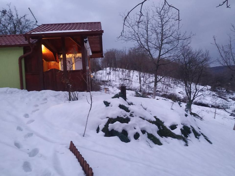 Holiday Home Nanin Konak 2 Vrdnik Exteriér fotografie