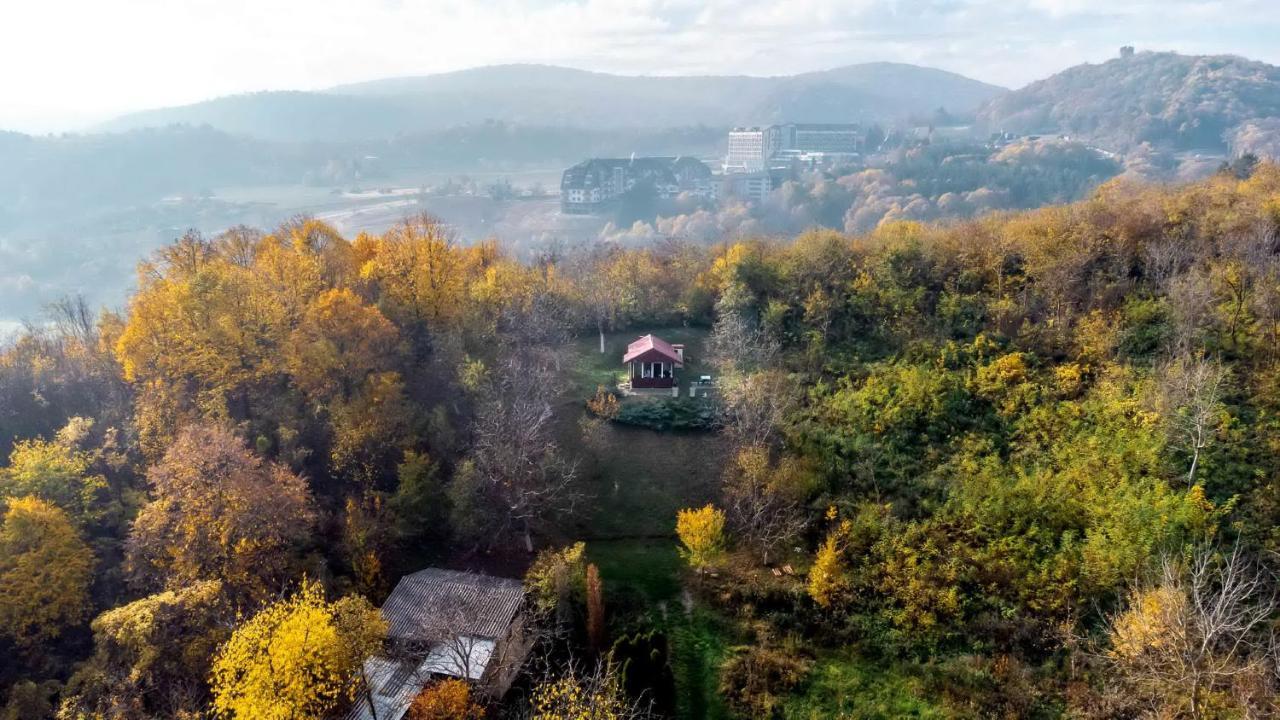 Holiday Home Nanin Konak 2 Vrdnik Exteriér fotografie