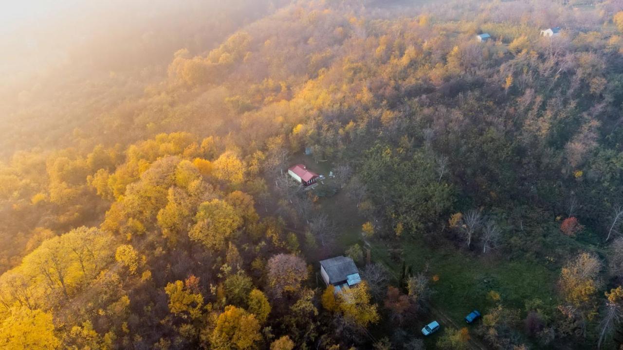 Holiday Home Nanin Konak 2 Vrdnik Exteriér fotografie
