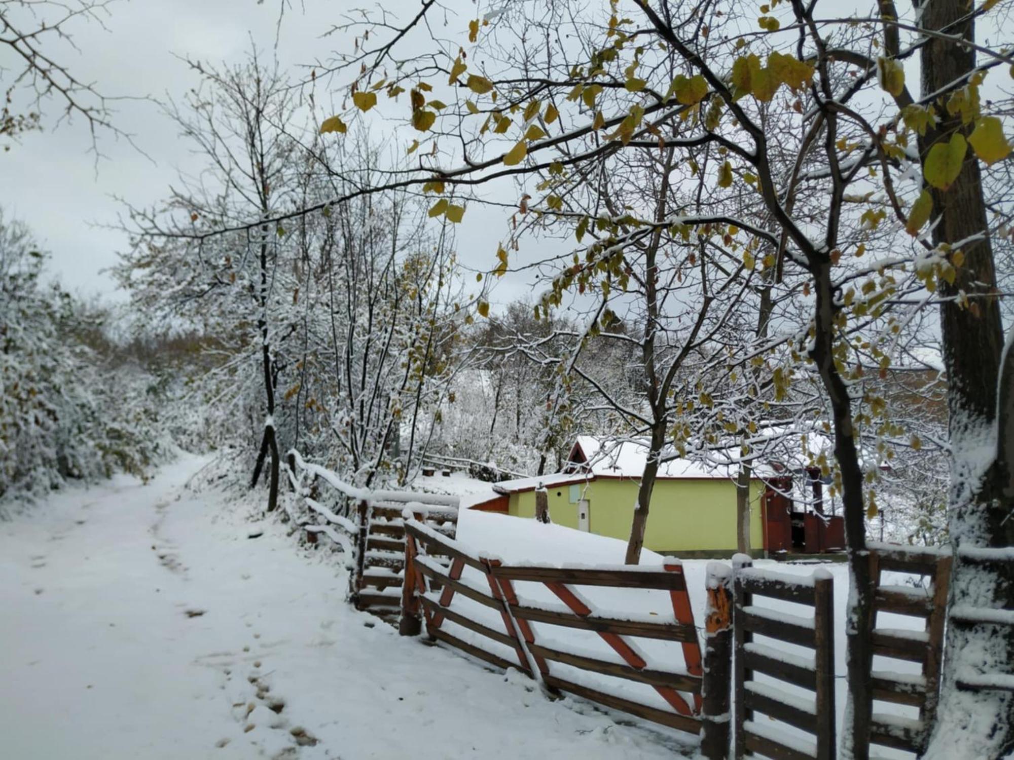 Holiday Home Nanin Konak 2 Vrdnik Exteriér fotografie